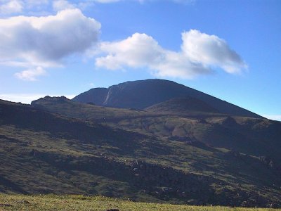 First Sight of Pikes