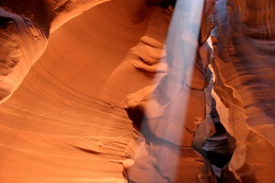 IMG_5374.JPG