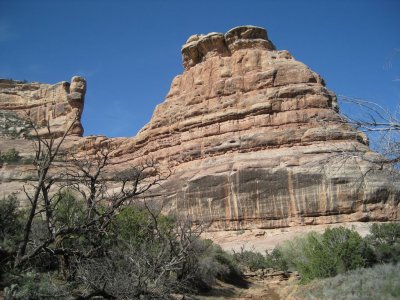 Descending Grand Gulch