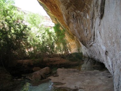 Green Canyon Springs