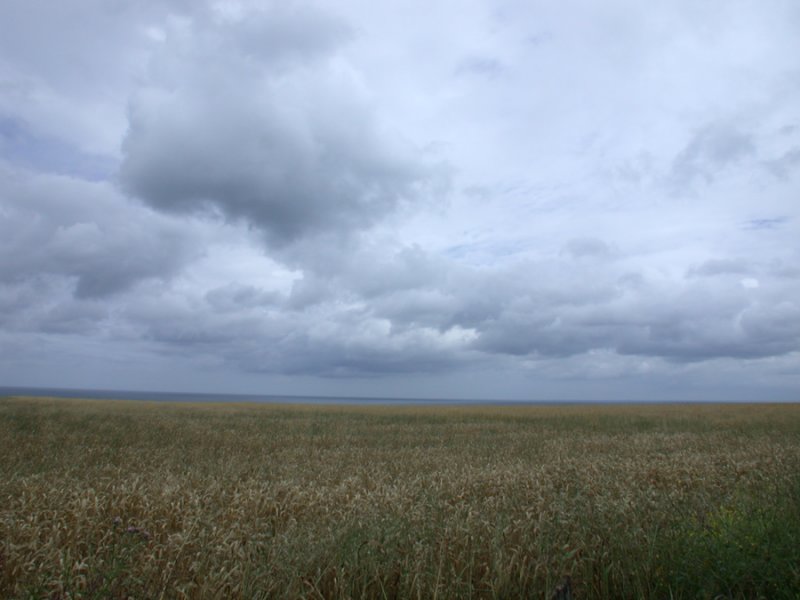 Ground and Sky
