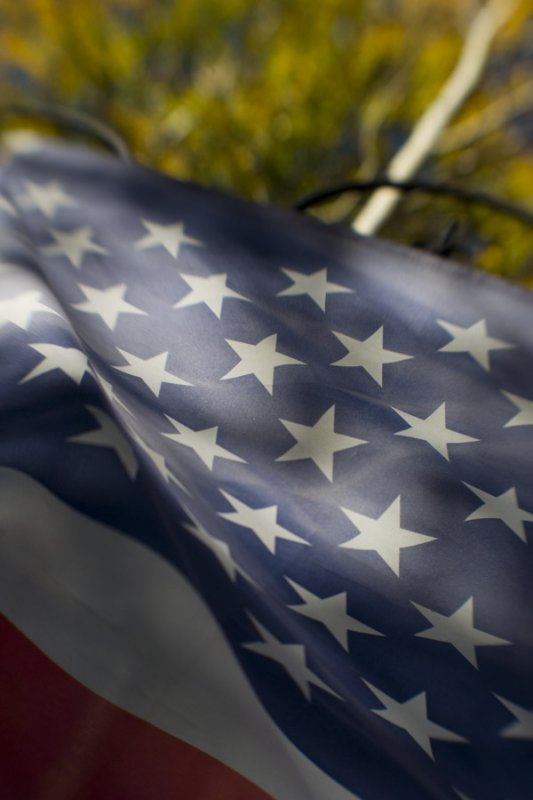 U.S. Flag