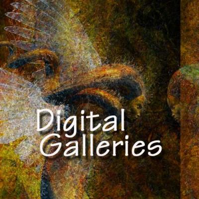 digital galleries