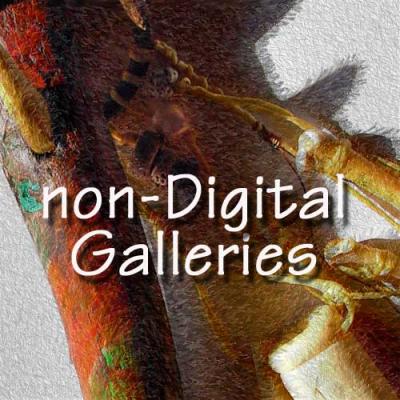 Non-Digital Art