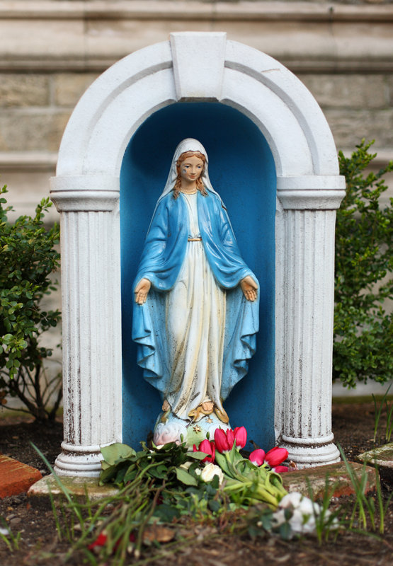50mm 1.4 - Mary