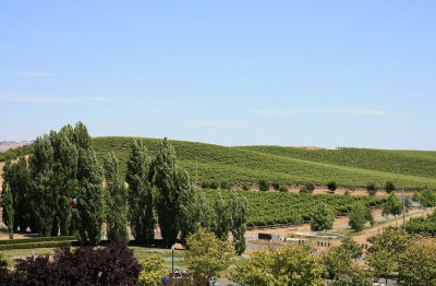 San Francisco - Taittinger Napa