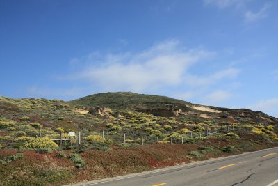 San Francisco - Big Sur