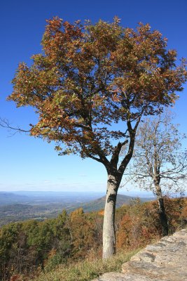 Shenandoah National Park