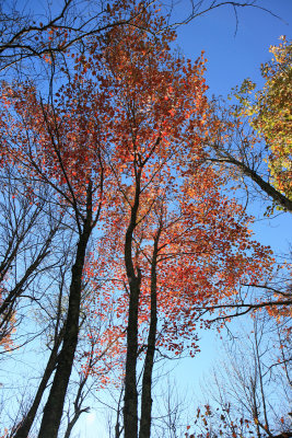 Shenandoah National Park