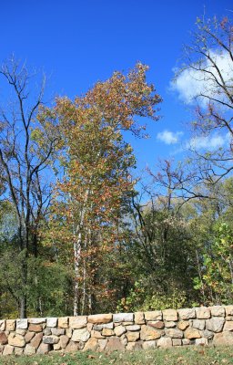 Shenandoah National Park