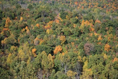 Shenandoah National Park