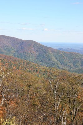 Shenandoah National Park