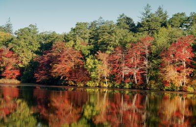 Fall reflection