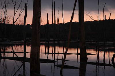 Marsh Sunset