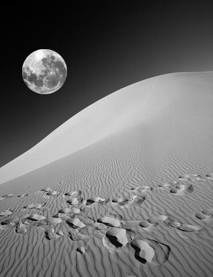 Desert Moon