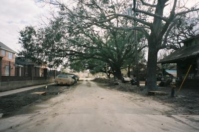 Lakeview Neighborhood of New Orleans