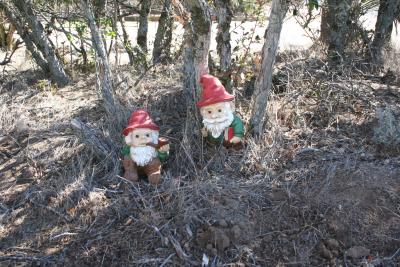 g3/06/551306/3/56328539.Gnomes.jpg