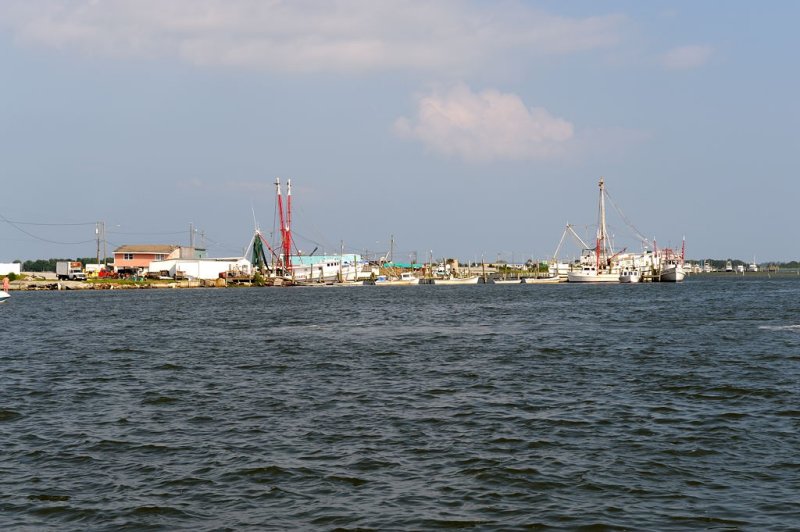 _DLM0253.jpg