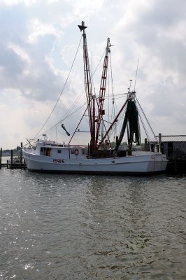 _DLM0235.jpg