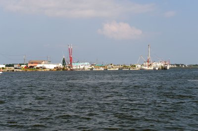 _DLM0253.jpg
