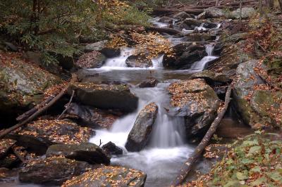 rr_DSC6805.jpg
