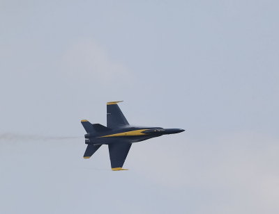 Blue Angels 2008