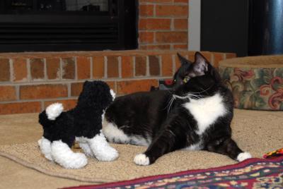Bubba and Oreo