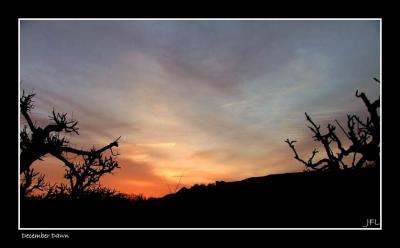 Exmoor Winter