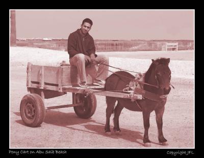Pony Cart on Abu Saib Beach