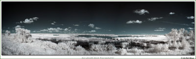 ir-pano.jpg