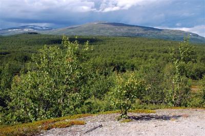 Kungsleden Abisko-Kebne 2.jpg