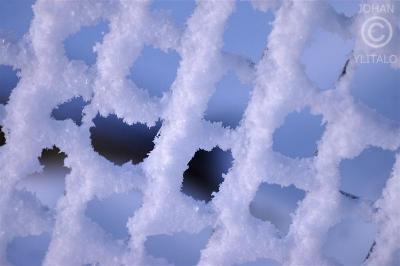 Macro 43.jpg