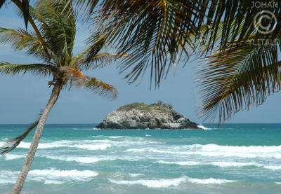 Isla de Margarita 70.jpg