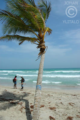 Isla de Margarita 77.jpg