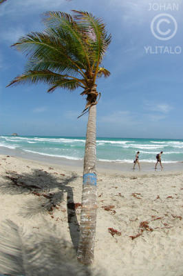 g3/06/584506/3/57640245.IsladeMargarita84.jpg