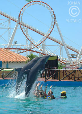g3/06/584506/3/57640270.IsladeMargarita93.jpg