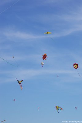 Austin Kite Fest - 5594.jpg