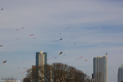 Austin kite Fest - 5614.jpg