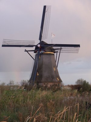 100_2937.JPG