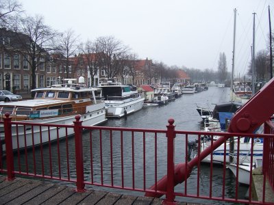 100_8109.JPG