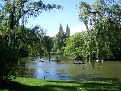 100_8412.JPG