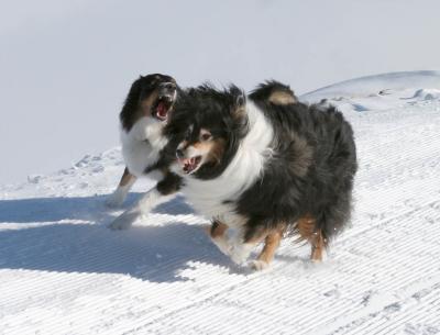 IMG_3977 Kopie.jpg