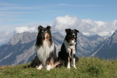 IMG_5430 (Large).JPG