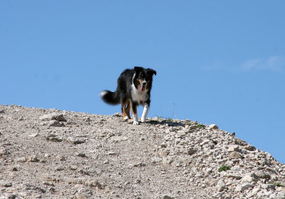 IMG_5614 Kopie.jpg
