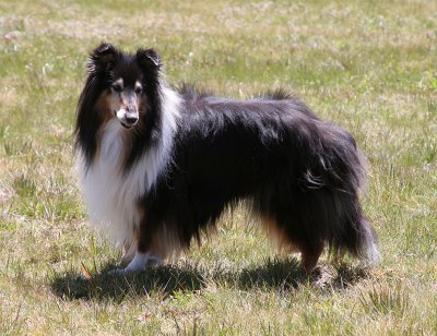 IMG_5703 Kopie.jpg