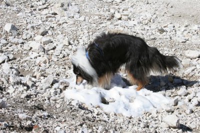 IMG_5798 (Large).JPG