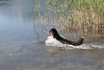 IMG_5899 Kopie.jpg