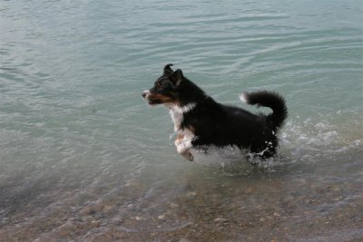 IMG_5926 (Large).JPG