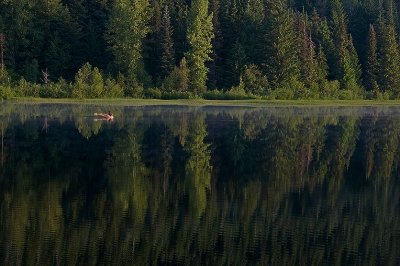 Trillium Lake Reflection At 6:24 AM