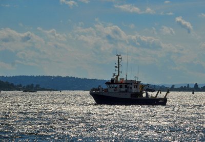 A Fishing Trawler In Oslo Harbor